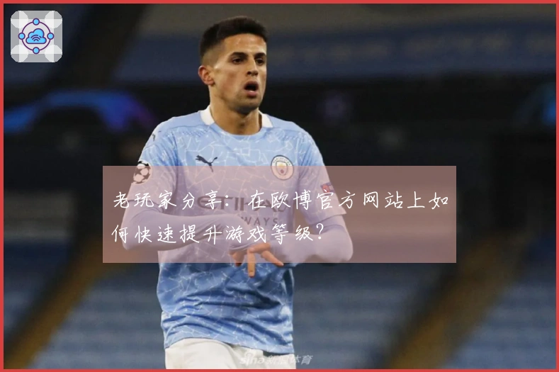 老玩家分享：在欧博官方网站上如何快速提升游戏等级？